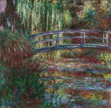 Show The Water Lily Pond, 1900 details